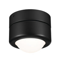 Tibbi Ceiling Flush Light Black