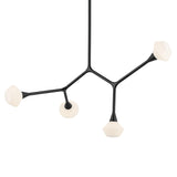 Cassius Chandelier Black 5.25 Inch