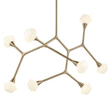 Cassius Chandelier Champagne Bronze 26.5 Inch