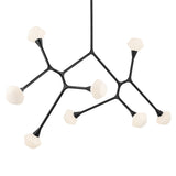 Cassius Chandelier Black 32 Inch
