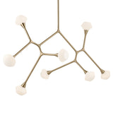 Cassius Chandelier Champagne Bronze 32 Inch