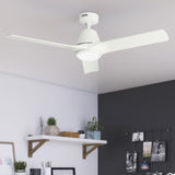 Aeronaut Outdoor Smart Fan with LED Light