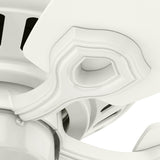 Builder Low Profile with LED Light