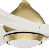 Elise Outdoor Energy Fan DC with LED Light