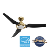 Eula Outdoor Energy Star DC with LED Light