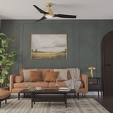Eula Outdoor Energy Star DC with LED Light