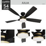 Julia Outdoor Energy Star DC with LED Light