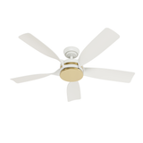 Julia Outdoor Energy Star DC with LED Light