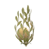 Broche 8.25'' Champagne Green Tea Sconce by Crystorama