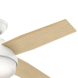 Dempsey Smart Fan with LED Light