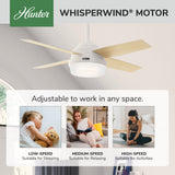 Dempsey Smart Fan with LED Light