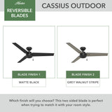 Cassius Smart Fan Outdoor
