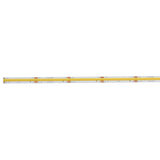 Tunable Dry Tape 24V LED Tape Light White
