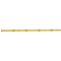 Tunable Dry Tape 24V LED Tape Light White