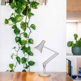 90 Mini Mini Desk Lamp Sunbrunt Orange By Anglepoise - Lifestyle View10