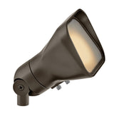 Accent Flood Light
