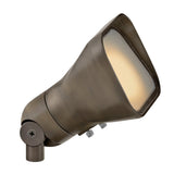 Accent Flood Light