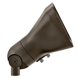 Accent Flood Light