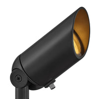 Accent Spot Light