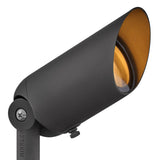 Accent Spot Light