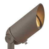 Accent Spot Light