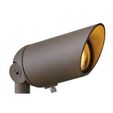Accent Spot Light