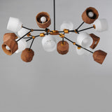 Akimbo Chandelier by Maxim Lighting