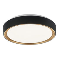 Alamus Ceiling Light 15 Inch Aged Gold / Matte Black