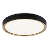 Alamus Ceiling Light 19 Inch Aged Gold / Matte Black