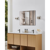 Amelia 4-inch 2-light Polished Nickel and Champagne Gold 5CCT LED Vanity Light with Clear and Clear Ribbed Glass