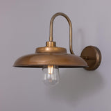 Antique Brass Darya Swan Neck Bathroom Wall Light By Mullan