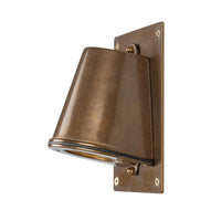 Antique Brass With Backplate Wade Outdoor Brass Spotlight by Mullan Lighting