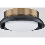 Arnie Flush Mount by Troy Lighting