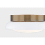 Arnie Flush Mount by Troy Lighting