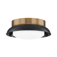 Arnie Flush Mount - Patina Brass with Gloss Black by Troy Lighting