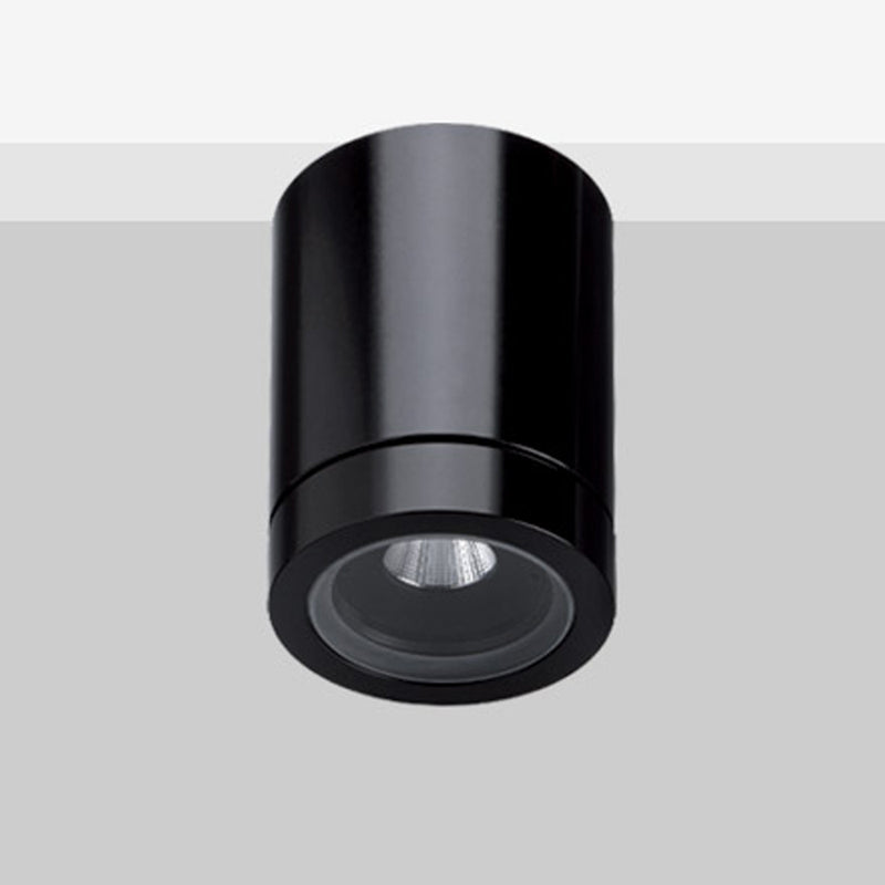 Art Outdoor Ceiling Mount By Flexa Lighting