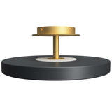 Asteria Up Medium Ceiling Light Anthracite Grey By UMAGE - Side View1