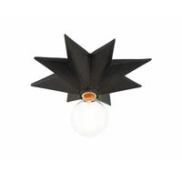 Astro Flush Mount 12'' Black Black