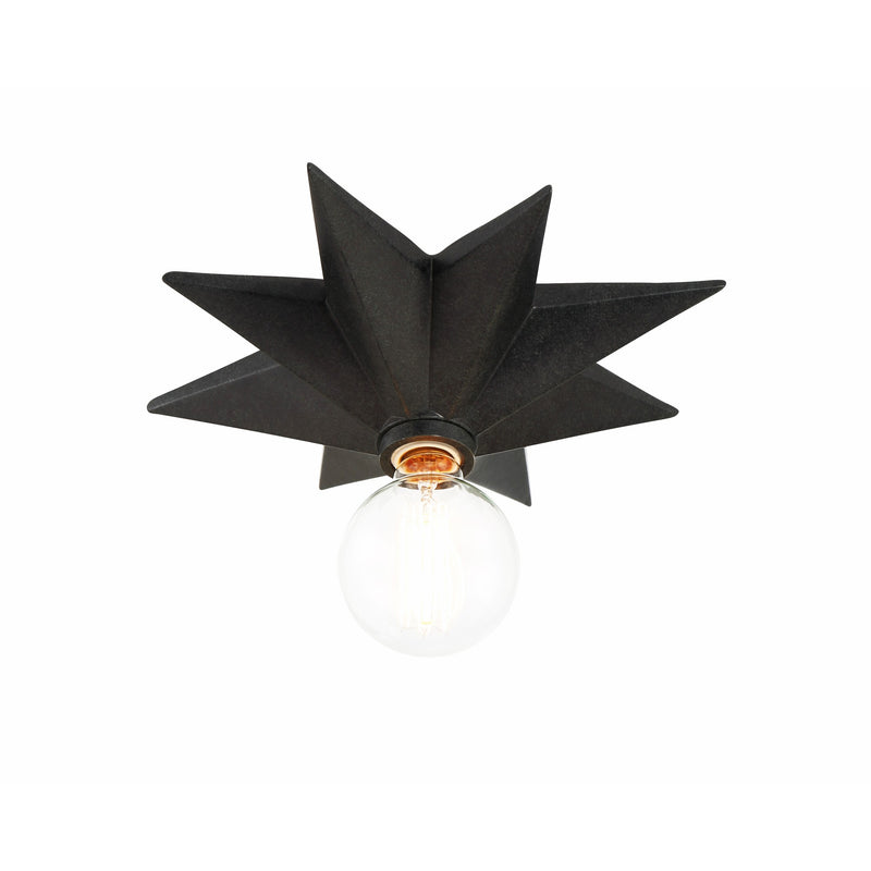 Astro Flush Mount 12'' Black Black