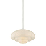 Auburndale Pendant - Polished Nickel by Hudson Valley