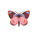 Bellissima Butterfly Wall Art