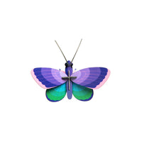 Blue Copper Butterfly Wall Art