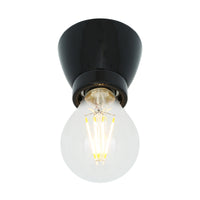 Baltimore Flush Light Fitting