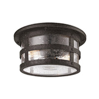 Barbosa Flush Mount by Troy Lighting
