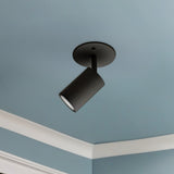 Barclay Flush Mount — Flush Mount