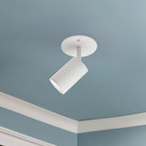 Barclay Flush Mount — Flush Mount