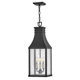 Beacon Hill Large Hanging Lantern - Museum Black - by Hinkley