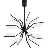 Belterra Globe Chandelier
