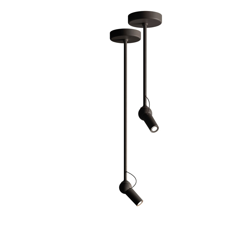 Bird Ceiling Light Black by KDLN
