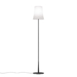 Birdie Easy Reading Lamp Black by Foscarini